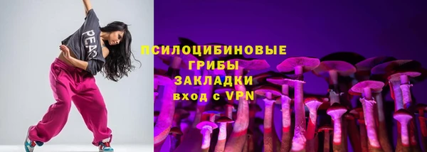 хмурый Белокуриха