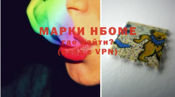 хмурый Белокуриха