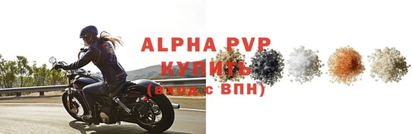 хмурый Белокуриха