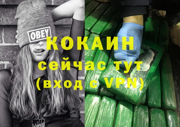 хмурый Белокуриха