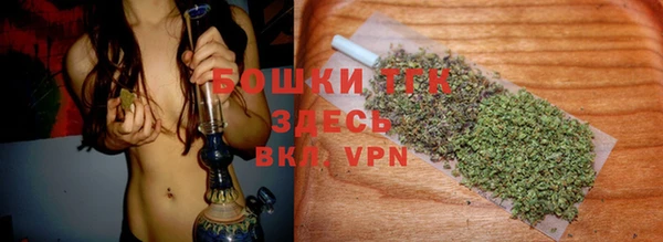 хмурый Белокуриха