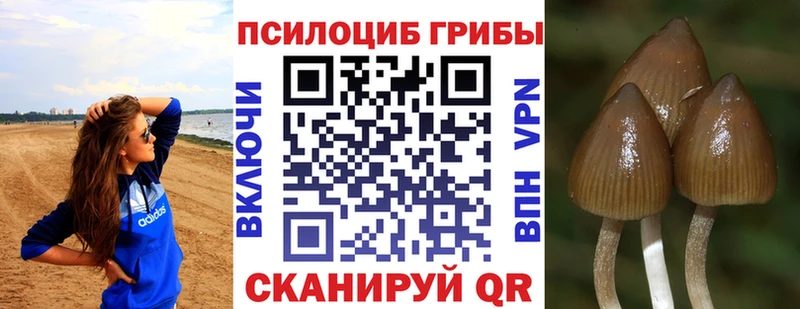 Галлюциногенные грибы GOLDEN TEACHER Можайск